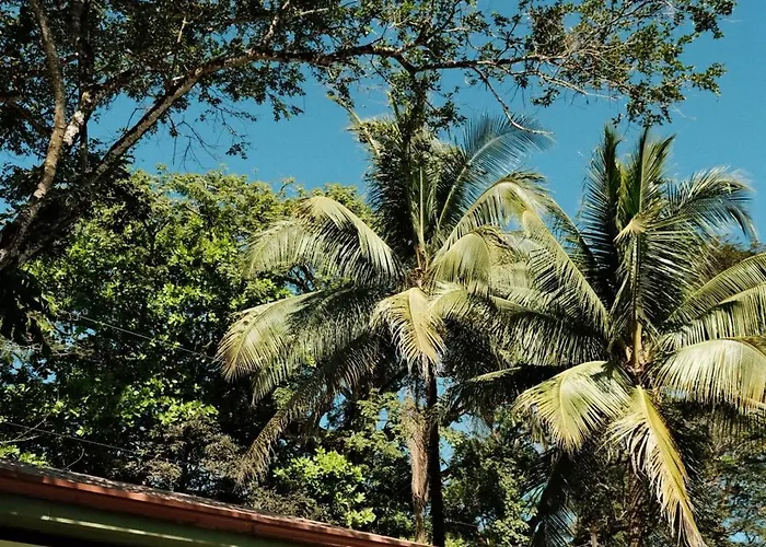 La Buena Vida * Nicoya